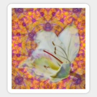 Bauhinia on vibrant kaleidoscope Sticker